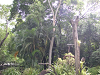 s_A_PICT0031_thumb.png